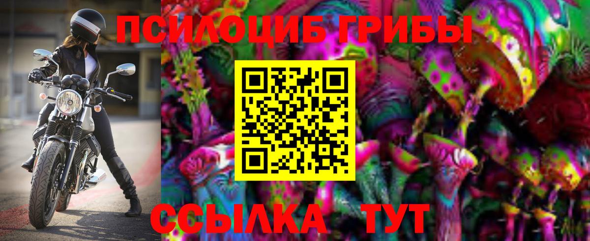 Псилоцибиновые грибы мицелий Прохладный