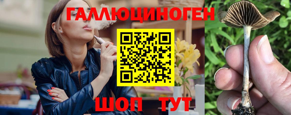 Псилоцибиновые грибы Psilocybe  Псилоцибиновые грибы мухоморы  Прохладный  Вход с VPN 